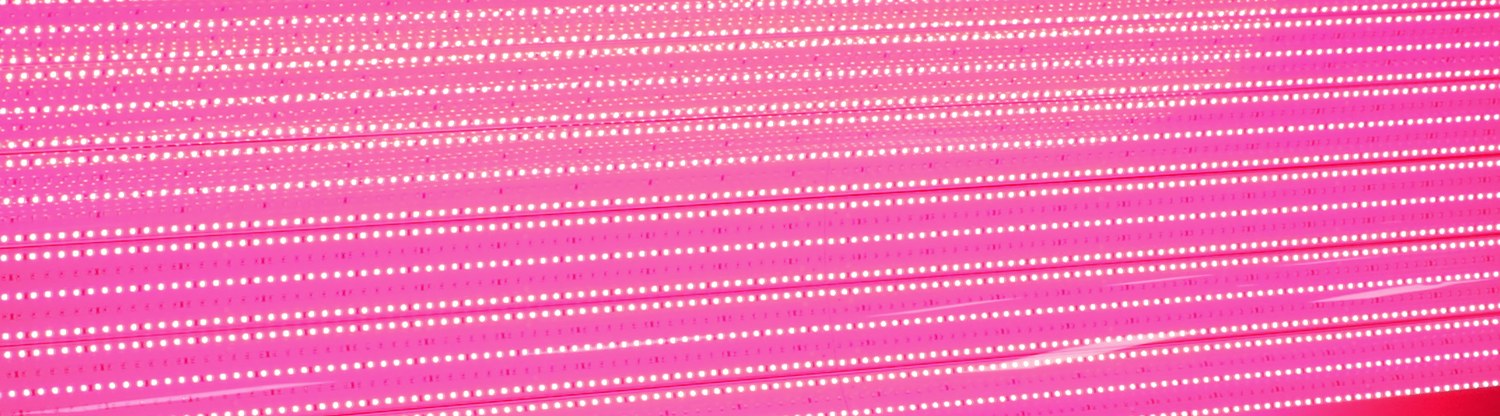 LED-oppervlak van een LUUM WELL bed
